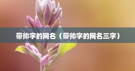 带帅字的网名（带帅字的网名三字）