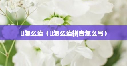 贠怎么读（贠怎么读拼音怎么写）