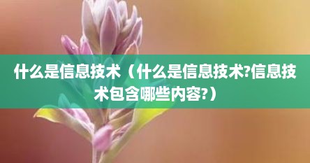 什么是信息技术（什么是信息技术?信息技术包含哪些内容?）