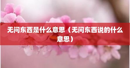 无问东西是什么意思（无问东西说的什么意思）