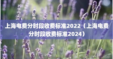 上海电费分时段收费标准2022（上海电费分时段收费标准2024）