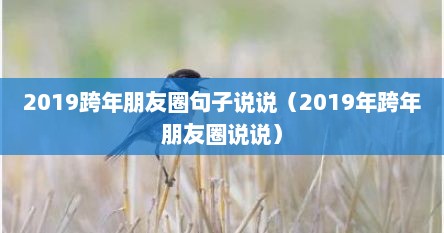 2019跨年朋友圈句子说说（2019年跨年朋友圈说说）