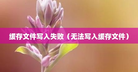 缓存文件写入失败（无法写入缓存文件）