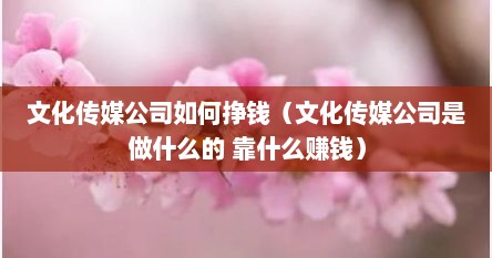 文化传媒公司如何挣钱（文化传媒公司是做什么的 靠什么赚钱）