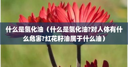 什么是氢化油（什么是氢化油?对人体有什么危害?红花籽油属于什么油）