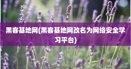 黑客基地网(黑客基地网改名为网络安全学习平台)