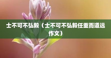 士不可不弘毅（士不可不弘毅任重而道远作文）