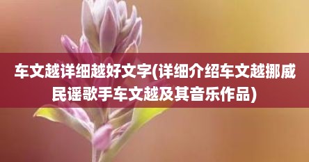 车文越详细越好文字(详细介绍车文越挪威民谣歌手车文越及其音乐作品)