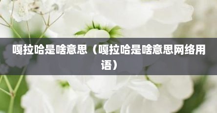 嘎拉哈是啥意思（嘎拉哈是啥意思网络用语）