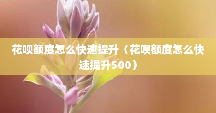 花呗额度怎么快速提升（花呗额度怎么快速提升500）