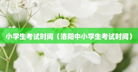 小学生考试时间（洛阳中小学生考试时间）