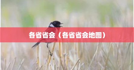 各省省会（各省省会地图）