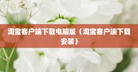 淘宝客户端下载电脑版（淘宝客户端下载安装）