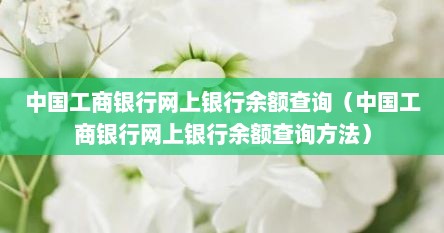 中国工商银行网上银行余额查询（中国工商银行网上银行余额查询方法）