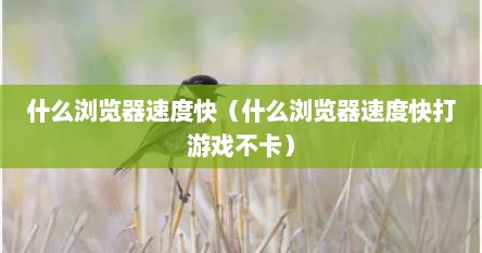 什么浏览器速度快（什么浏览器速度快打游戏不卡）