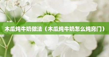 木瓜炖牛奶做法（木瓜炖牛奶怎么炖窍门）