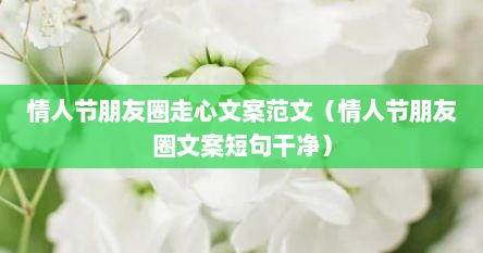 情人节朋友圈走心文案范文（情人节朋友圈文案短句干净）