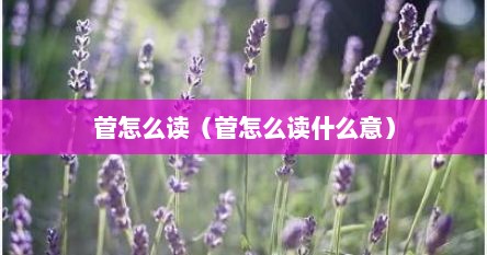 菅怎么读（菅怎么读什么意）