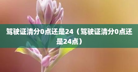 驾驶证清分0点还是24（驾驶证清分0点还是24点）