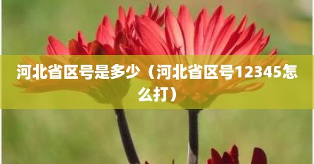 河北省区号是多少（河北省区号12345怎么打）