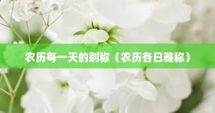 农历每一天的别称（农历各日雅称）