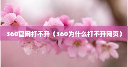 360官网打不开（360为什么打不开网页）