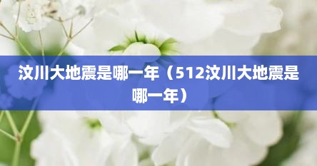 汶川大地震是哪一年（512汶川大地震是哪一年）