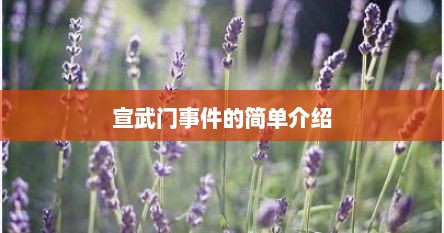 宣武门事件的简单介绍