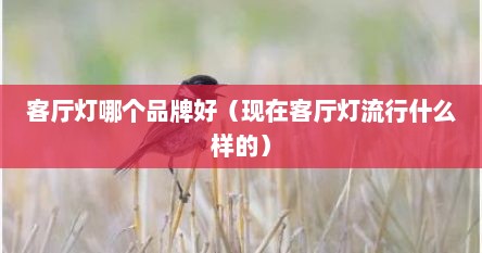 客厅灯哪个品牌好（现在客厅灯流行什么样的）