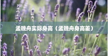 孟晚舟实际身高（孟晚舟身高差）