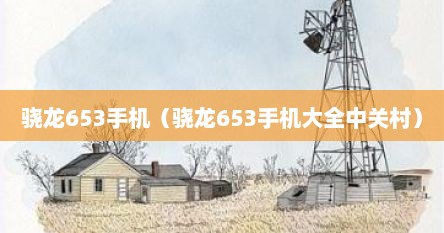 骁龙653手机（骁龙653手机大全中关村）