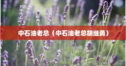 中石油老总（中石油老总胡继勇）