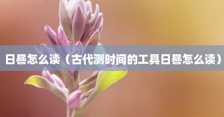 日晷怎么读（古代测时间的工具日晷怎么读）