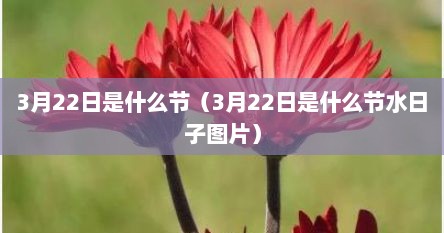 3月22日是什么节（3月22日是什么节水日子图片）