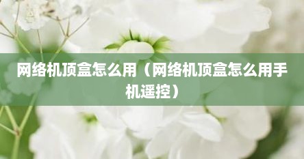 网络机顶盒怎么用（网络机顶盒怎么用手机遥控）