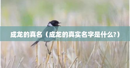 成龙的真名（成龙的真实名字是什么?）