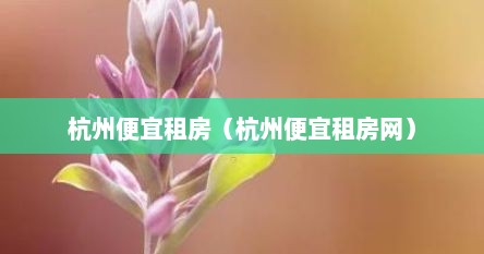 杭州便宜租房（杭州便宜租房网）