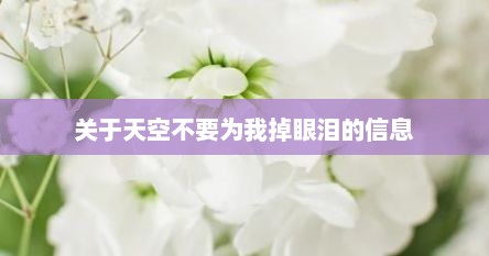 关于天空不要为我掉眼泪的信息