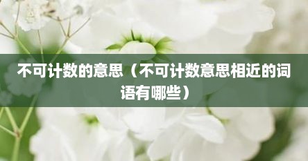 不可计数的意思（不可计数意思相近的词语有哪些）