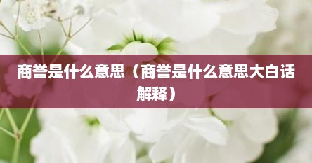 商誉是什么意思（商誉是什么意思大白话解释）