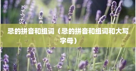 忌的拼音和组词（忌的拼音和组词和大写字母）