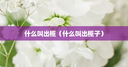 什么叫出柜（什么叫出柜子）