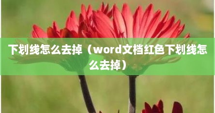 下划线怎么去掉（word文档红色下划线怎么去掉）