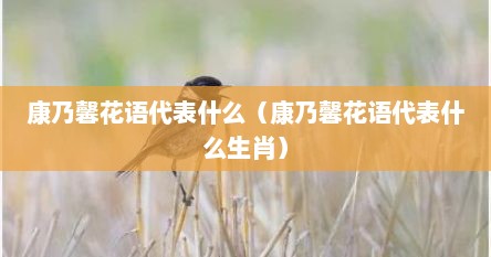 康乃馨花语代表什么（康乃馨花语代表什么生肖）