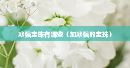 冰强宝珠有哪些（加冰强的宝珠）