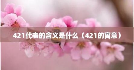 421代表的含义是什么（421的寓意）