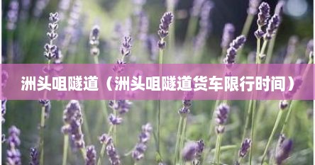 洲头咀隧道（洲头咀隧道货车限行时间）