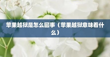 苹果越狱是怎么回事（苹果越狱意味着什么）