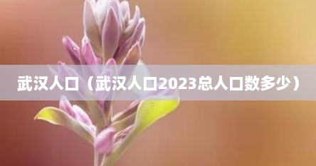 武汉人口（武汉人口2023总人口数多少）