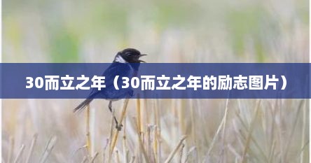 30而立之年（30而立之年的励志图片）